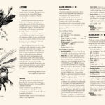 BREU_Diagramação_FINAL_BREU_Final103